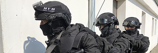 Obrázek pro S.W.A.T.