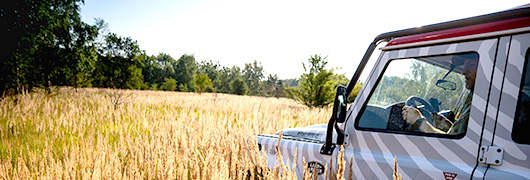  Tschechische Natur Safari