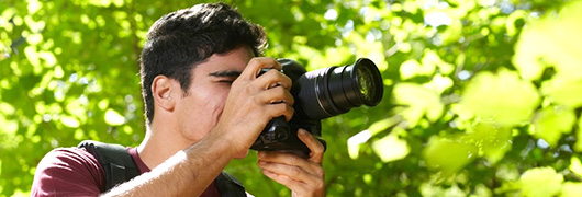 Image for page Photo Safari for beginners